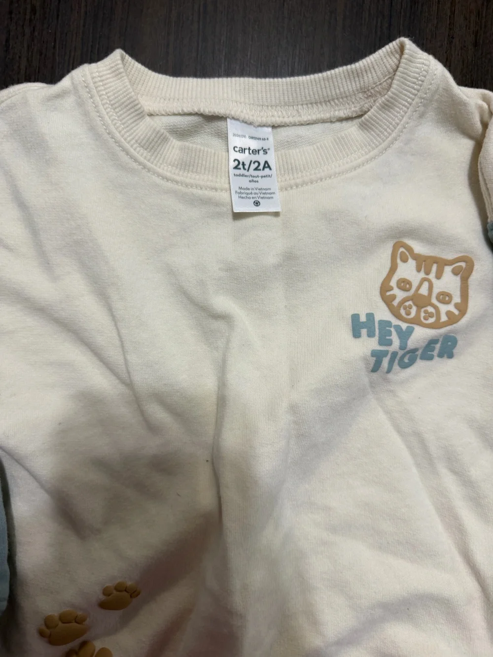 Carter’s Boys Sweatshirt and Pants Set